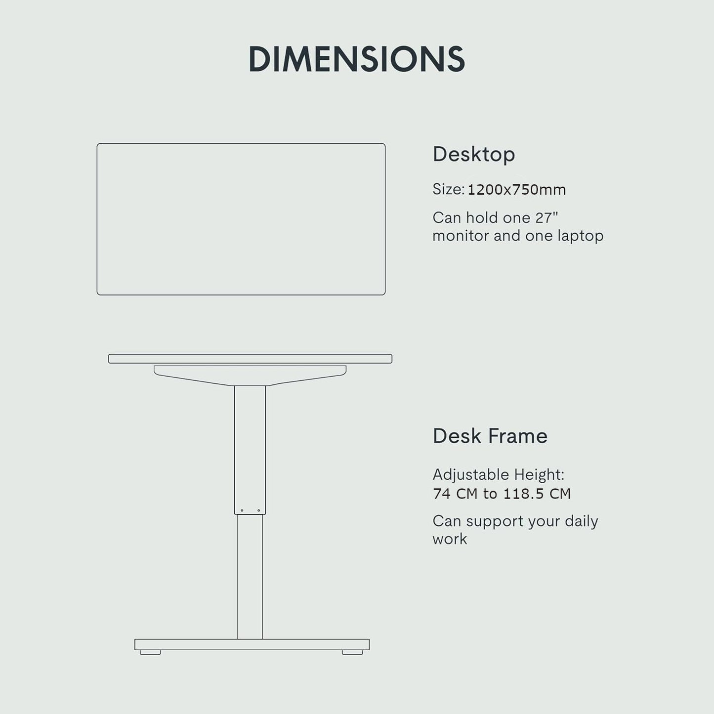 FLEXISPOT USA No.1 Electric Height Adjustable Standing Desk