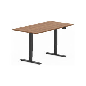 FlexiSpot E5 Premium Standing Desk | Height Adjustable Table | Sit Stand Desk